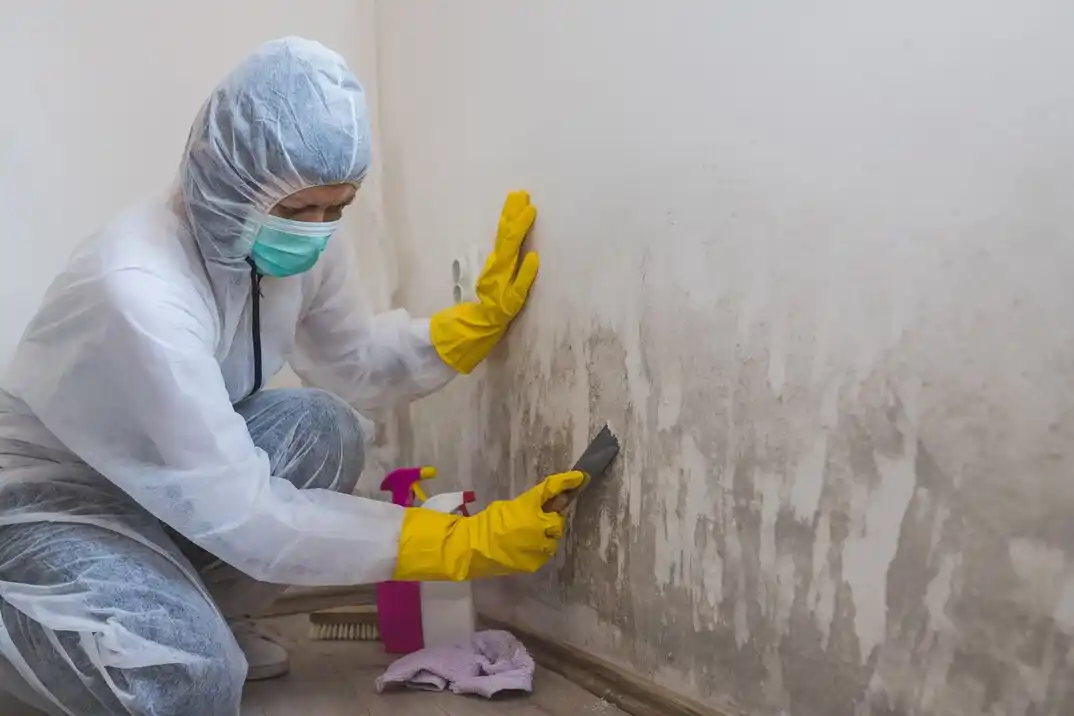 water damage restoration service Star Trail